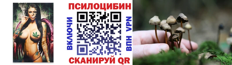 ОМГ ОМГ как войти  наркошоп  Строитель  Псилоцибиновые грибы Psilocybe 