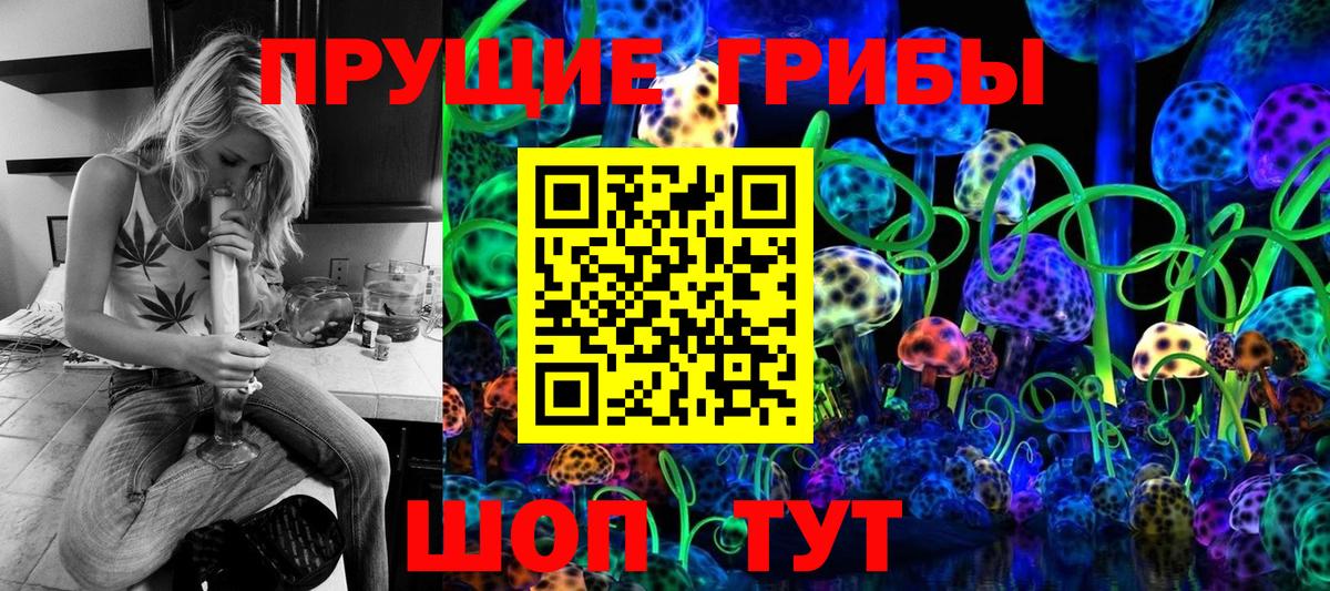 Псилоцибиновые грибы GOLDEN TEACHER  Вход с VPN  Строитель 