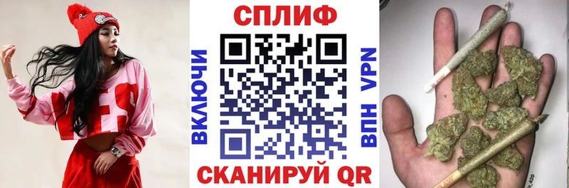shop наркотические препараты  блэк спрут ССЫЛКА  Строитель  Бошки Шишки план 