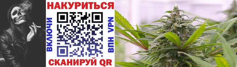 Шишки марихуана семена Строитель